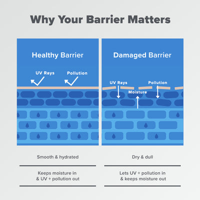 Barrier Repair Advanced Moisturiser